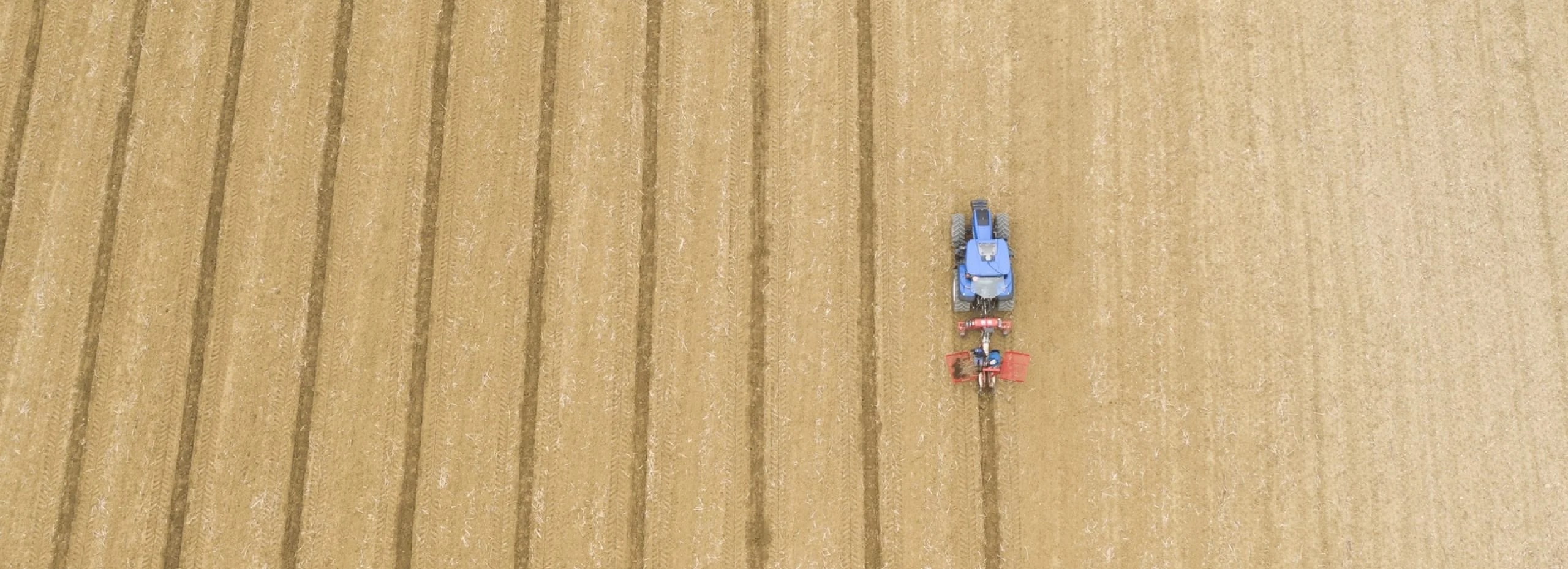 Spapperi con instancabile passione progetta e produce macchinari agricoli da oltre 40 anni.